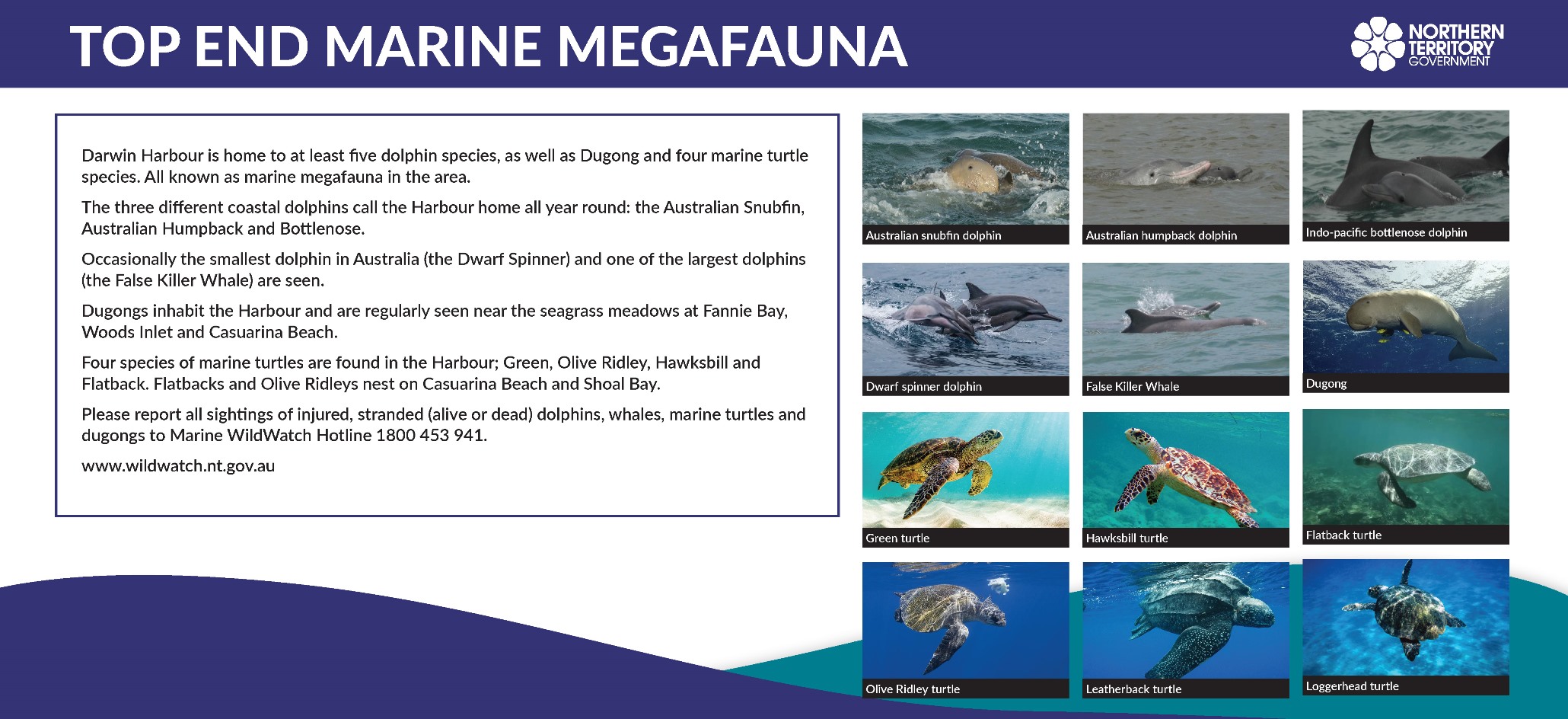 Top End Marine Megafauna signage